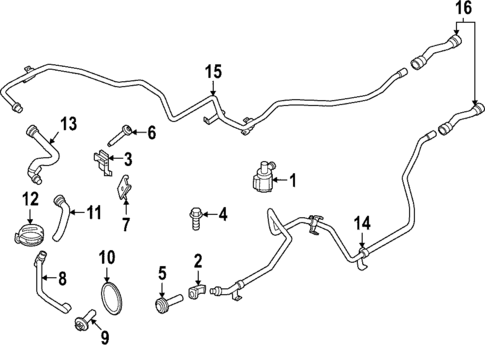 Hoses & Lines for 2022 Porsche 911 #5