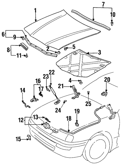 Hood & Components for 1998 Toyota Avalon #0