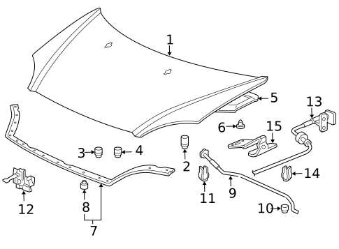 Hood & Components for 2002 Honda Civic #1