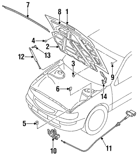 Hood & Components for 1996 Nissan Maxima #0