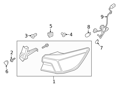 Bulbs - Chassis for 2023 Ford Escape #0