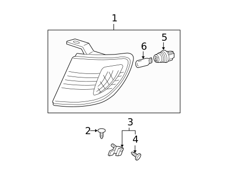 Park & Side Marker Lamps for 2001 Toyota Tacoma #0