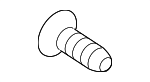 Cover Screw