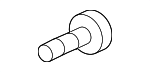 99903804 - Body: Striker Assembly Bolt for Smart Image