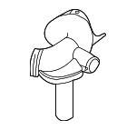 13717541087 - Engine: Intake Duct for Mini: Cooper Image