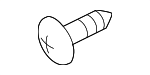 9423101 - Body: License Bracket Screw for GM Image