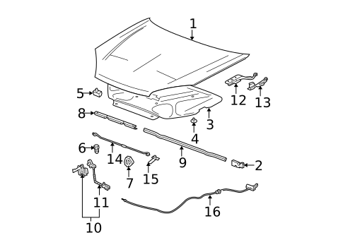 Hood & Components for 2005 Chevrolet Malibu #0