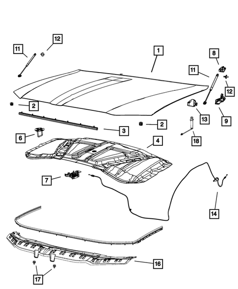 Hood and Hood Release for 2017 Chrysler 300 #0
