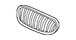51137051958 - Body: Grille for BMW Image