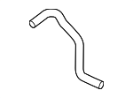 217413TA1A - : Overflow Hose for Nissan: Altima, Maxima Image