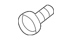 MS450169 - Body: Lower Molding Screw for Chrysler: Sebring | Dodge: Stratus Image
