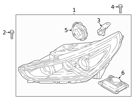 Headlamp Components for 2020 Hyundai Elantra GT #1