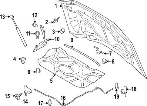 Hood & Components for 2025 Ford F-350 Super Duty #0