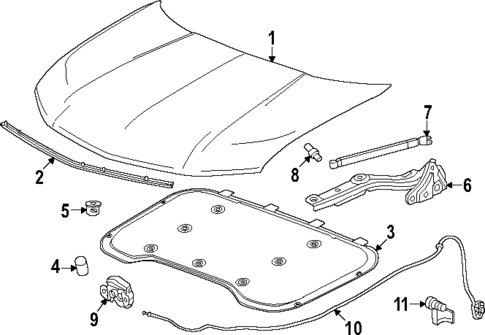 Hood & Components for 2024 Acura ZDX #0