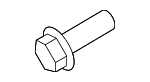 FS108256 - Cooling System: Tensioner Bolt for Land Rover: Defender 110, Defender 130, Defender 90, Discovery, Discovery Sport, Freelander, LR3, Range Rover, Range Rover Sport, Range Rover Velar Image