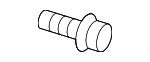 13290035 - Body: Hinge Support Bolt for GM Image
