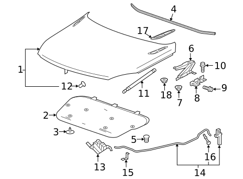 Hood & Components for 2017 Buick Regal #0