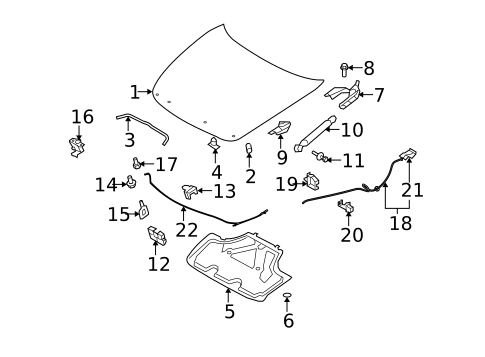Hood & Components for 2007 INFINITI G35 #0