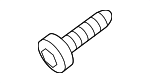 WHT003237 - Body: Door Check Bolt for Audi Image