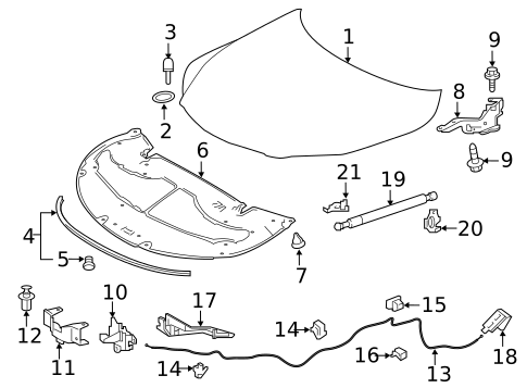 Hood & Components for 2018 Lexus RX450hL #0