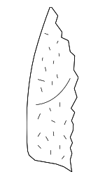 8P0885776C - Body: Seat Back Pad for Audi: A3, A3 Quattro Image