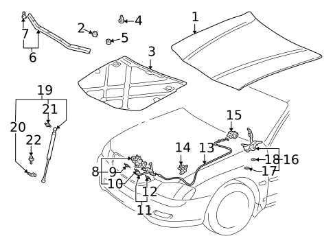 Hood & Components for 2001 Toyota Avalon #0
