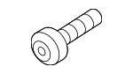 N10742702 - Cooling System: Belt Tensioner Bolt for Porsche Image