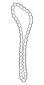 135060H011 - Engine: Timing Chain for Scion: tC, xB | Toyota: Camry, Corolla, Highlander, Matrix, RAV4, Solara Image