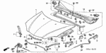 91522SM4003 - Body/Air Conditioning: CLIP, TUBE &amp; INSULATOR for Acura Image