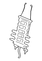 88894942 - Body: Lumbar Support for GM Image