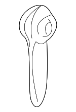 51238234535 - Body: Handle for BMW: Z8 Image