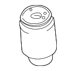 37121095579 - Suspension: Air Spring for BMW: X5 Image