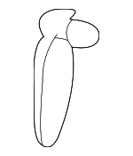 9720838000 - HVAC: Shaft for Hyundai Image