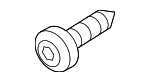 N10762601 - : Camera Bolt for Porsche: Panamera, Taycan Image