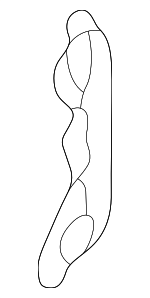 8281547070 - : Protector for Toyota Image