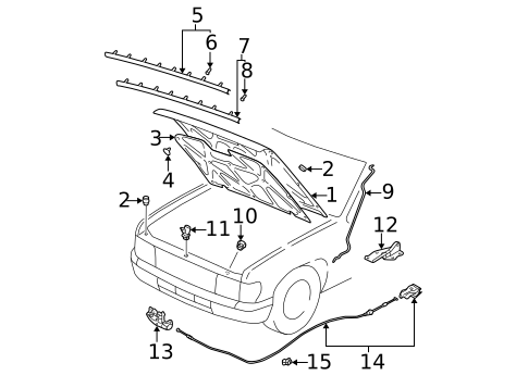 Hood & Components for 2004 Nissan Pathfinder #0