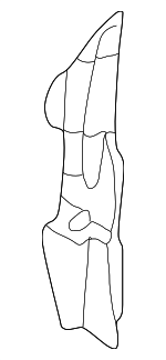 5027026AA - Body: Silencer for Chrysler: PT Cruiser Image