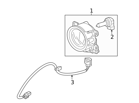 Bulbs - Chassis for 2013 Honda Accord #2