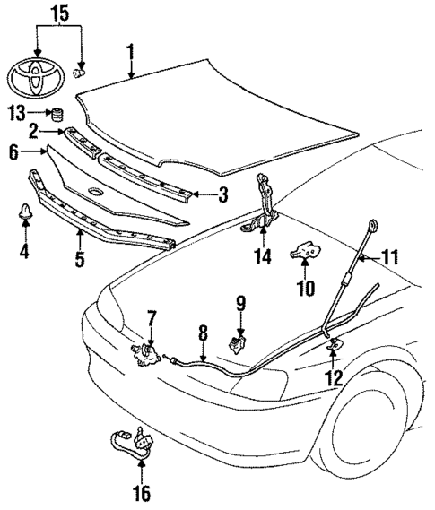 Hood & Components for 1995 Toyota Paseo #0