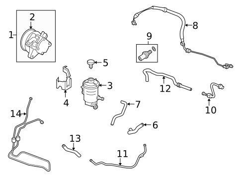 Pump & Hoses for 2008 Honda Accord #1