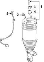 561017JC0A - : Shock Assembly for INFINITI: QX80 Image