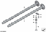 11318575440 - : Camshaft Exhaust for BMW Image