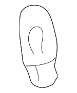 2626189911 - Electrical: Bulb for Nissan: 200SX, Altima, Quest, Sentra, Xterra Image