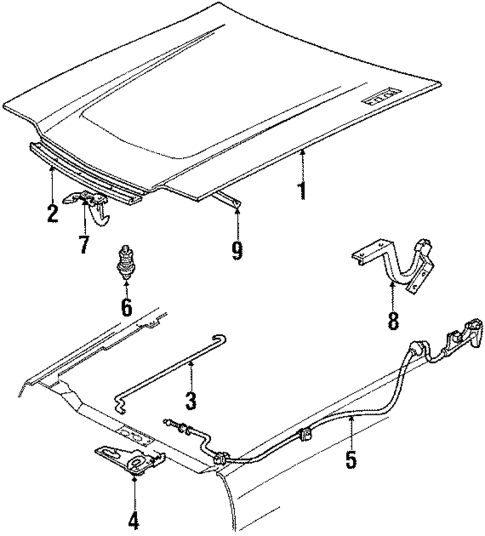 Hood & Components for 1990 Ford Escort #0