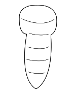 MS450157 - Body: Radio Screw for Chrysler: Sebring | Dodge: Stratus Image