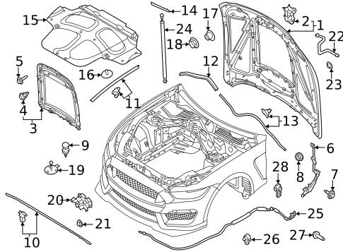 Hood & Components for 2021 Ford Mustang #1