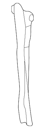 625500W000 - Body: Lock Support for Nissan: Pathfinder Image