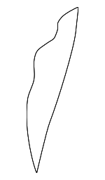 88450C2000 - Body: Seat Back Pad for Hyundai Image