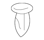 8561836000 - Body: Pkg Tray Trim Clip for Hyundai Image