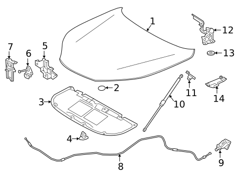 Hood & Components for 2020 Lexus NX300h #0